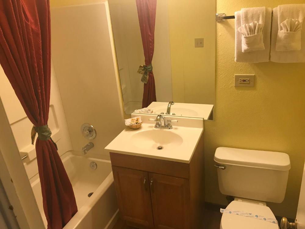 Deluxe King Suite interior
